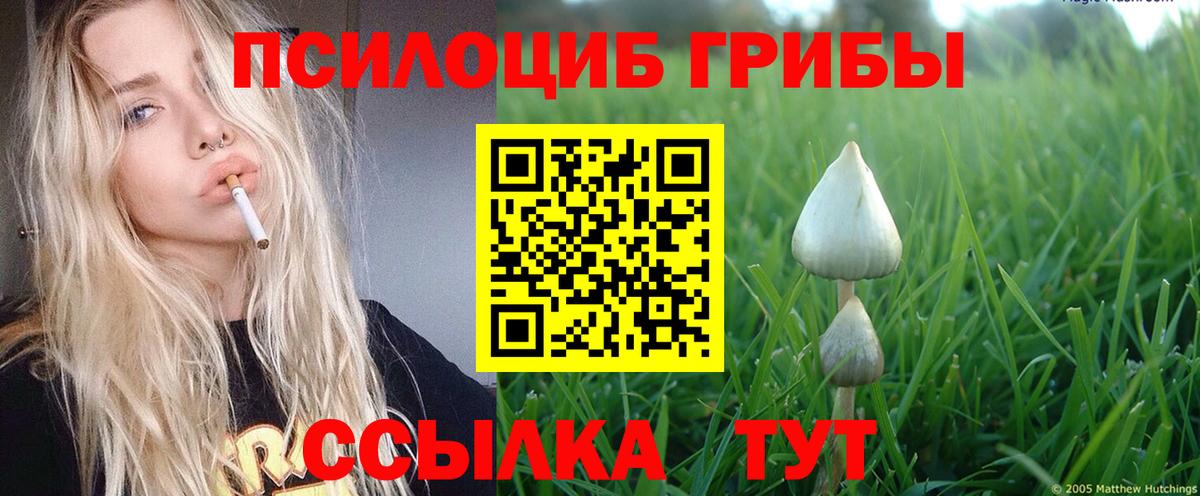 Галлюциногенные грибы мухоморы Подольск